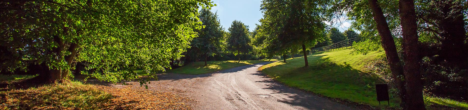 Country lane in Farley